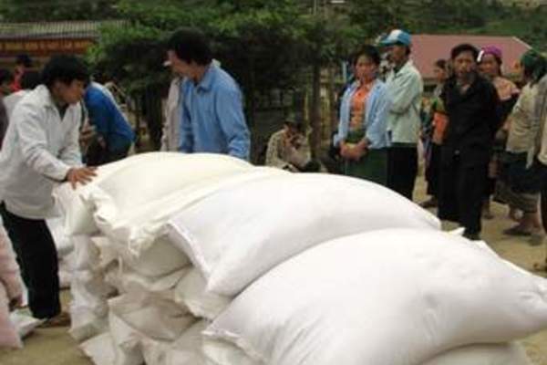 Thủ tướng quyết định xuất cấp gạo hỗ trợ nhân dân vùng lũ
