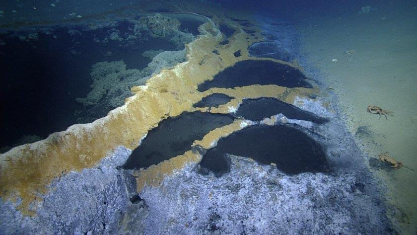 Hồ nước độc dưới đáy biển giết chết mọi sinh vật bơi vào