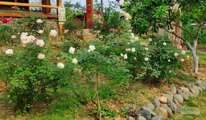 Chồng tương lai doạ sẽ huỷ hôn ngay trước đám cưới nếu tôi không làm điều này