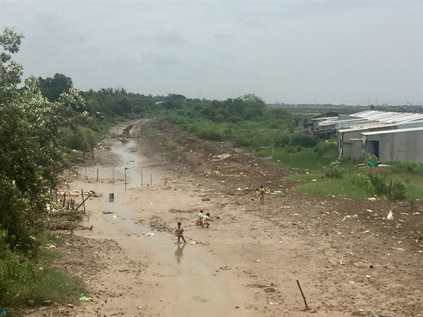 Vietnam's Mekong Delta needs urgent measures to prevent drought, saline-intrusion