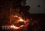 Over 2,500 fire hotspots observed in ASEAN last week
