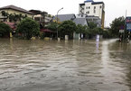 Vietnam should be proactive in coping with natural disasters