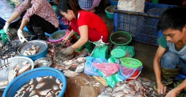 Cá chết ôi thối trở thành món hàng đắt khách nhất chợ đầu mối