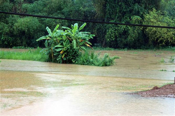 Five killed in northern torrential rain, one missing
