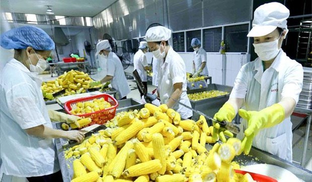 Door open wide for VN farm produce export to Europe