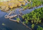 A visit to Ru Cha mangrove forest in Autumn