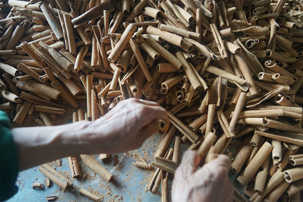 Wake up and smell the cinnamon - VietNamNet