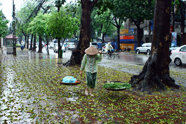 Dự báo thời tiết 16/9, Hà Nội mưa rào giảm nhiệt