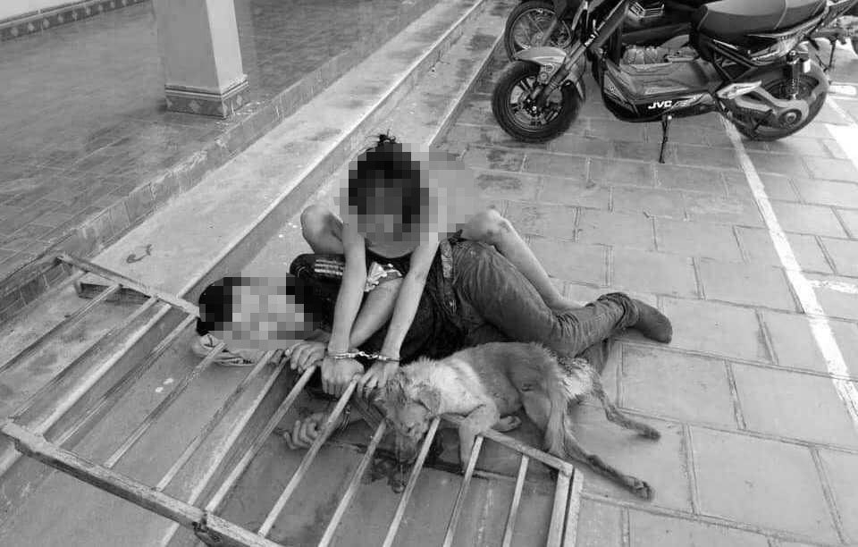 Phá đường dây trộm hơn 100 tấn chó do 3 thanh niên Thanh Hóa cầm đầu