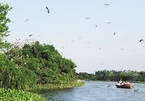 Garden becomes tourist site as storks arrive in Hai Duong