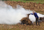 Trillions of VND of agricultural by-products burnt each year