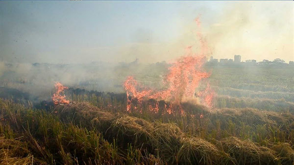 Haze from burning straw affects Noi Bai Airport