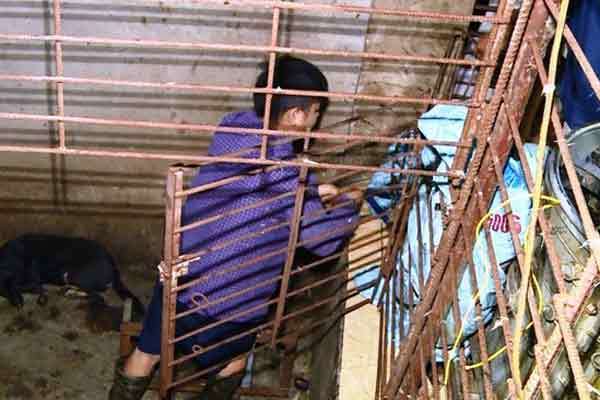 Sau 10 năm, cuộc sống của ‘hoàng tử màn ảnh’ Lương Mạnh Hải giờ ra sao?