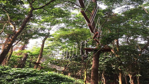 Fun and games in the trees in Quang Binh