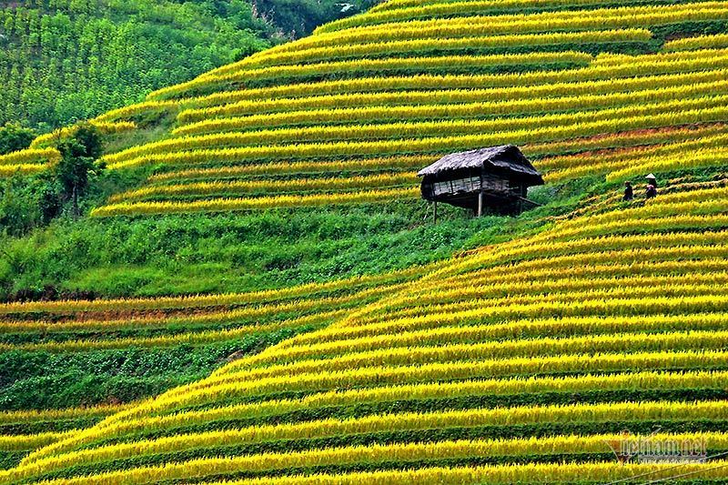 “Đảng ta là đạo đức, là văn minh”