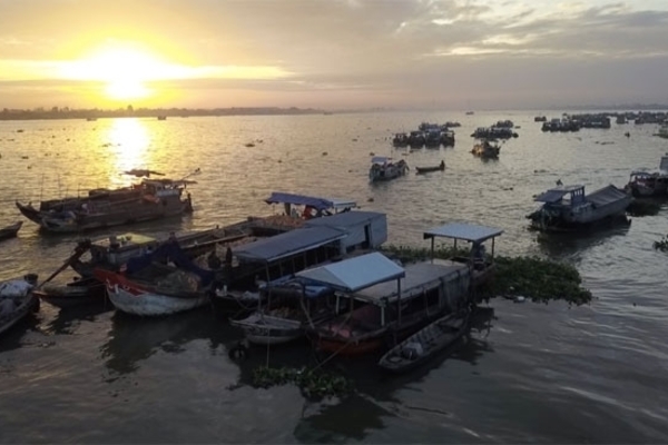 Riverway tourism enables amazing experience for visitors to An Giang