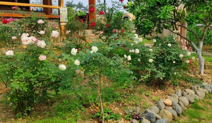 Ám ảnh hàng đêm của người vợ bị chồng bạo hành trên giường ngủ
