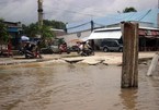 Erosion pushes Ca Mau’s eastern coast to emergency status