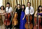 Vietnamese ensemble shares stage with German artists in Hanoi concert