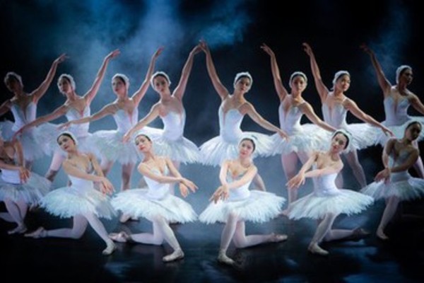 Tchaikovsky's masterpiece Swan Lake to be presented in Hanoi