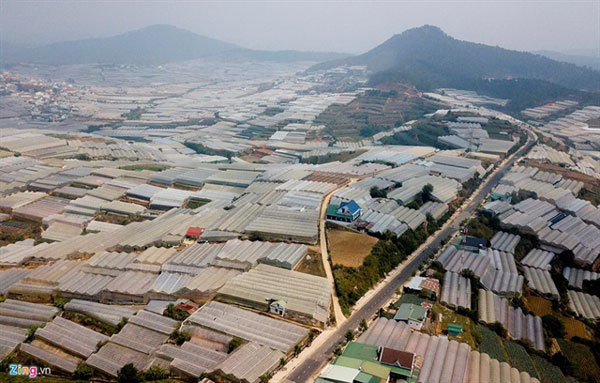 Greenhouse expansion damaging Da Lat environment