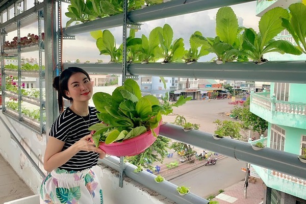 Vườn rau sạch trên sân thượng nhà vợ chồng Kha Ly - Thanh Duy