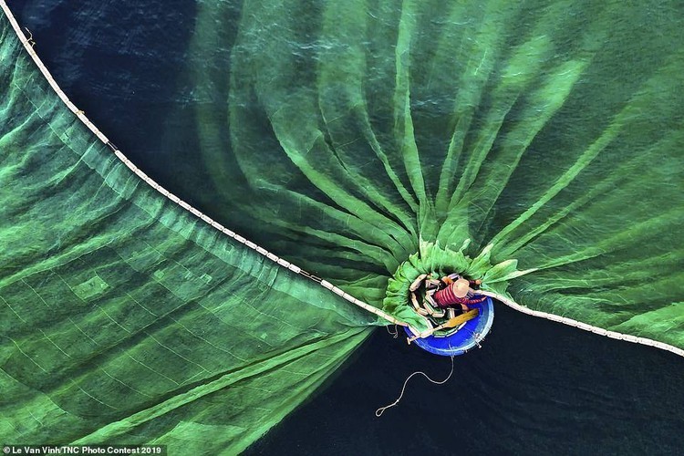 Vietnamese photographer wins The Nature Conservancy contest first prize