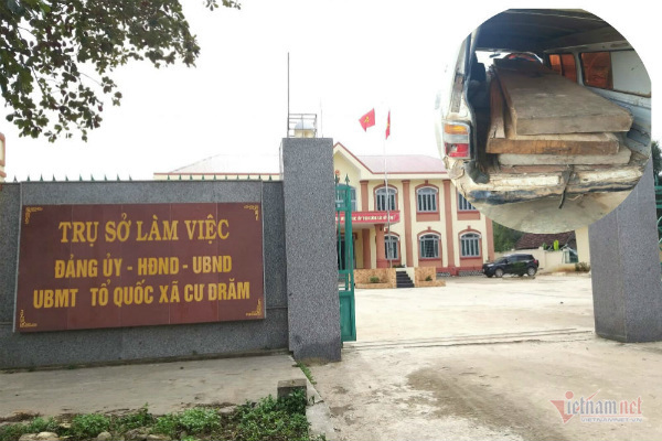 Chủ tịch xã ở Đắk Lắk lấy gỗ tang vật tiện lục bình, 'biếu' lãnh đạo