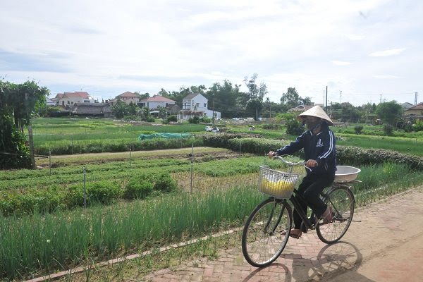 Special system needed for homestays in Hoi An