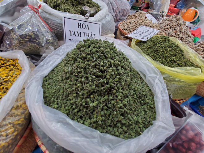 Hoa tam thất hàng hiếm rao giá bạc triệu vẫn được săn đón