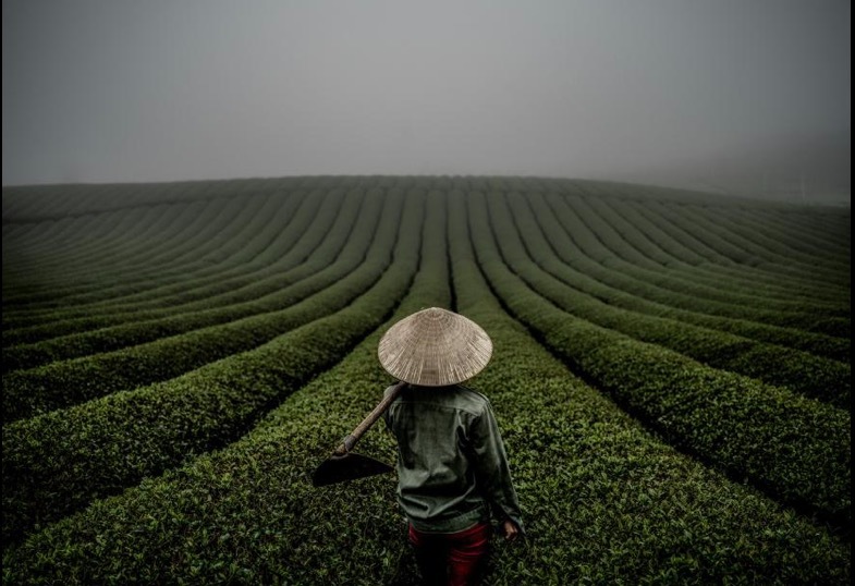 Nét đẹp của người Việt hút hồn nhiếp ảnh gia nước ngoài