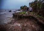 Ca Mau Province takes steps to prevent erosion