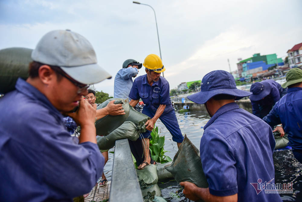 Hàng trăm người Sài Gòn 'oằn lưng' gia cố bờ bao vỡ do triều cường