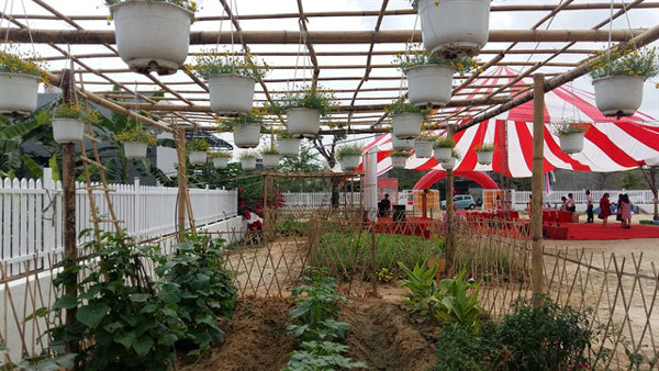 Da Nang launches first agro-science garden for kids