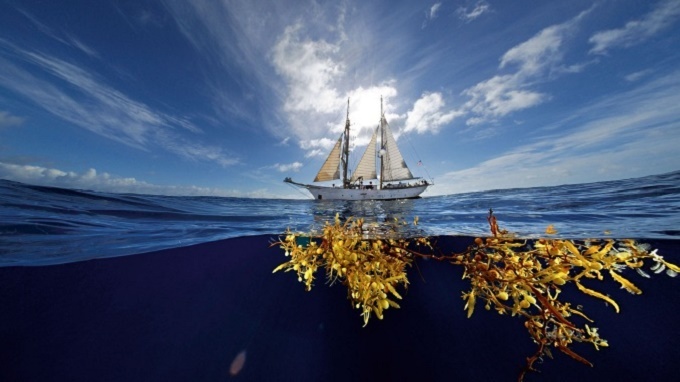 Vùng biển không bờ và bí ẩn về loạt xác tàu vô chủ trôi nổi