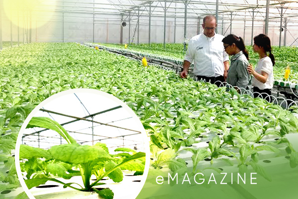 Quảng Nam ứng dụng công nghệ cao sản xuất nông nghiệp