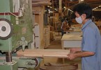 Vietnam wooden furniture manufacturers worried, despite more orders
