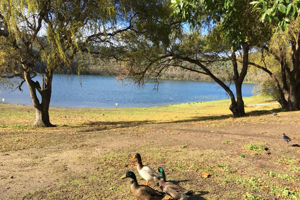 Bị vợ nghe lén điện thoại, ông chủ thầu xây dựng đáp 'nghe làm gì cho buồn thêm'