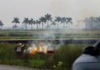 Hanoi asks for better straw management to reduce air pollution