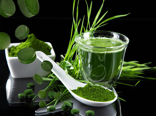 Tăng đề kháng, giảm lão hóa với tảo Spirulina và chùm ngây