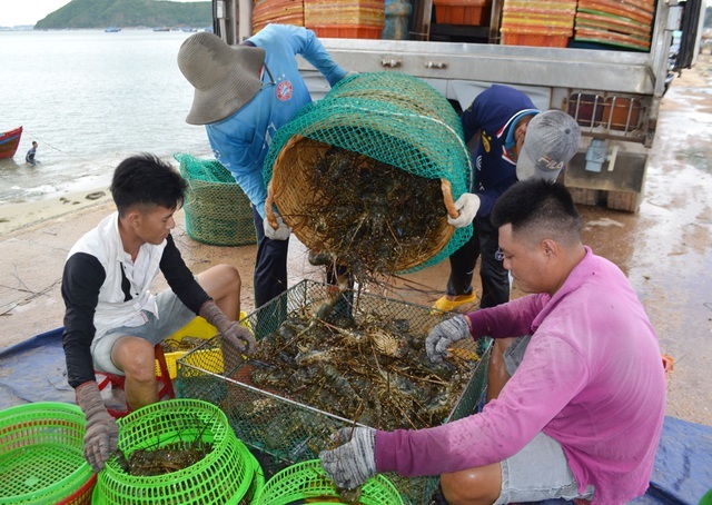 Trung Quốc đóng lối nhỏ, tôm cá rớt giá, dân Việt khóc ròng