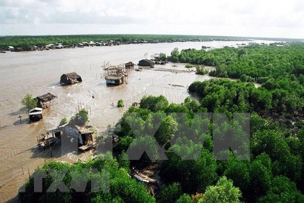 Kien Giang needs over $68.8 million to tackle coastal erosion