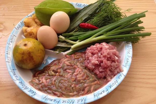 Hanoi’s gift: Ragworm