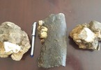 Rhino fossils discovered at Phong Nha-Ke Bang National Park