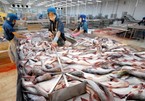 Vietnamese catfish exporters struggle to compete with rivals