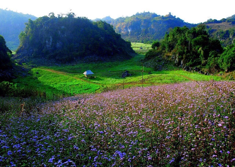 Hà Giang đẹp mê hồn qua ống kính 'phượt thủ số 1' Việt Nam