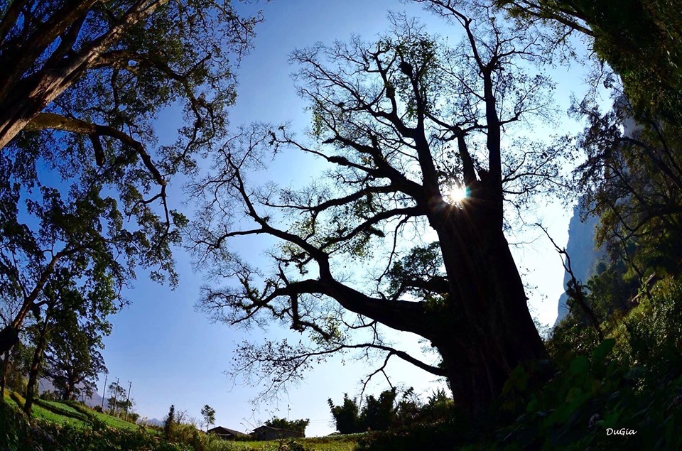 Hà Giang đẹp mê hồn qua ống kính 'phượt thủ số 1' Việt Nam