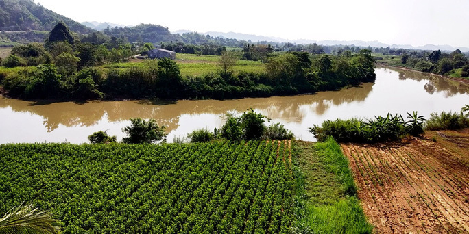 Dong Nai River sand exploitation remains unchecked