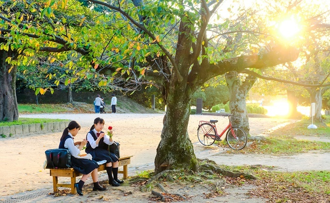 Nhật Bản đẹp mơ màng thời khắc chuyển mùa sang thu
