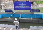 Thủ tướng giao Hà Nội đánh giá kết quả thí điểm làm sạch sông Tô Lịch